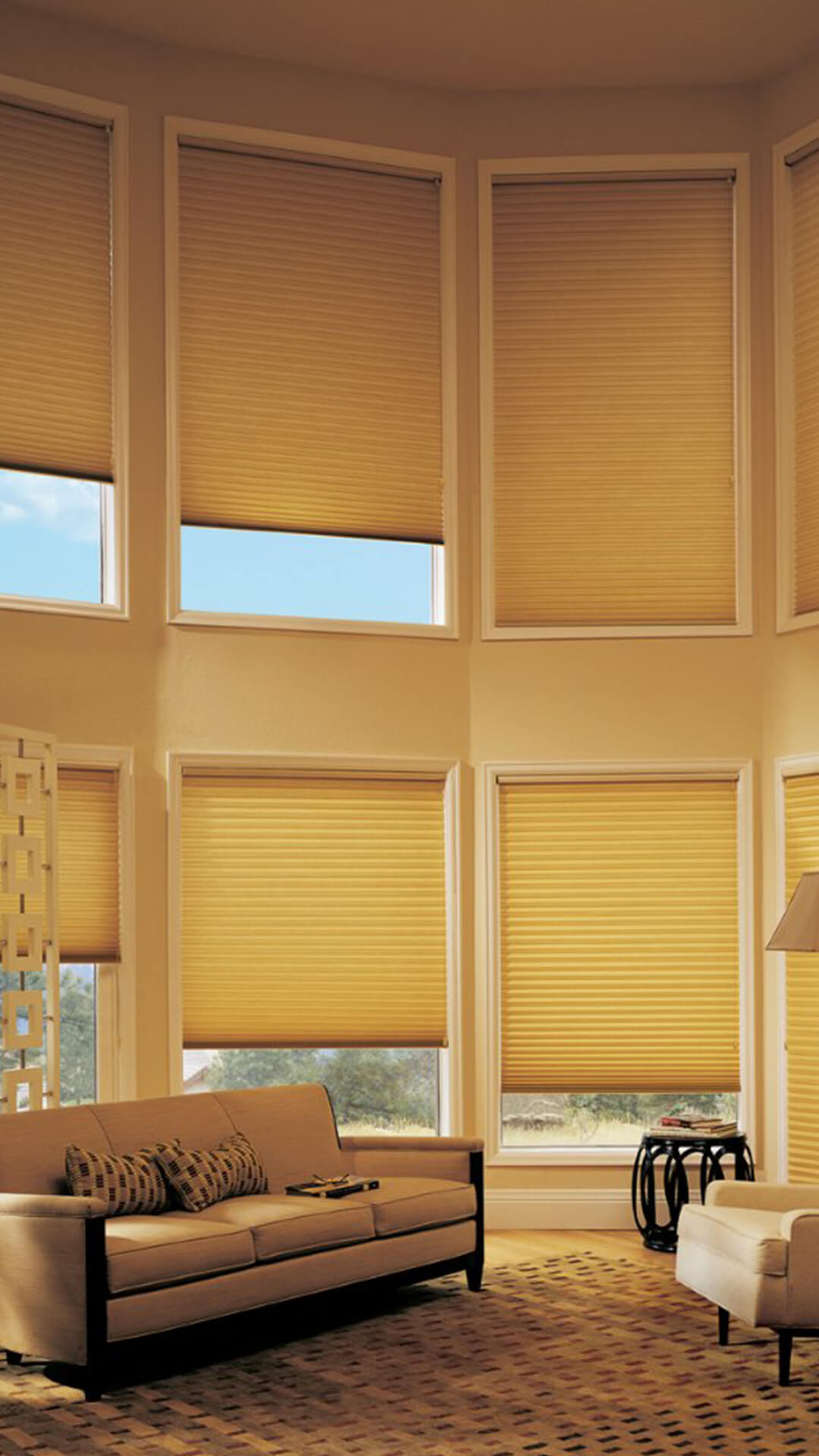 honeycomb-blinds-vertical