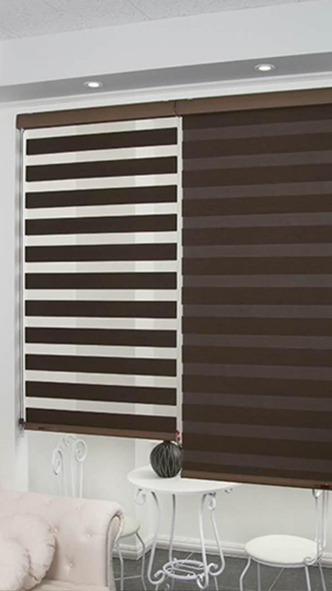 zebra-shades-vertical